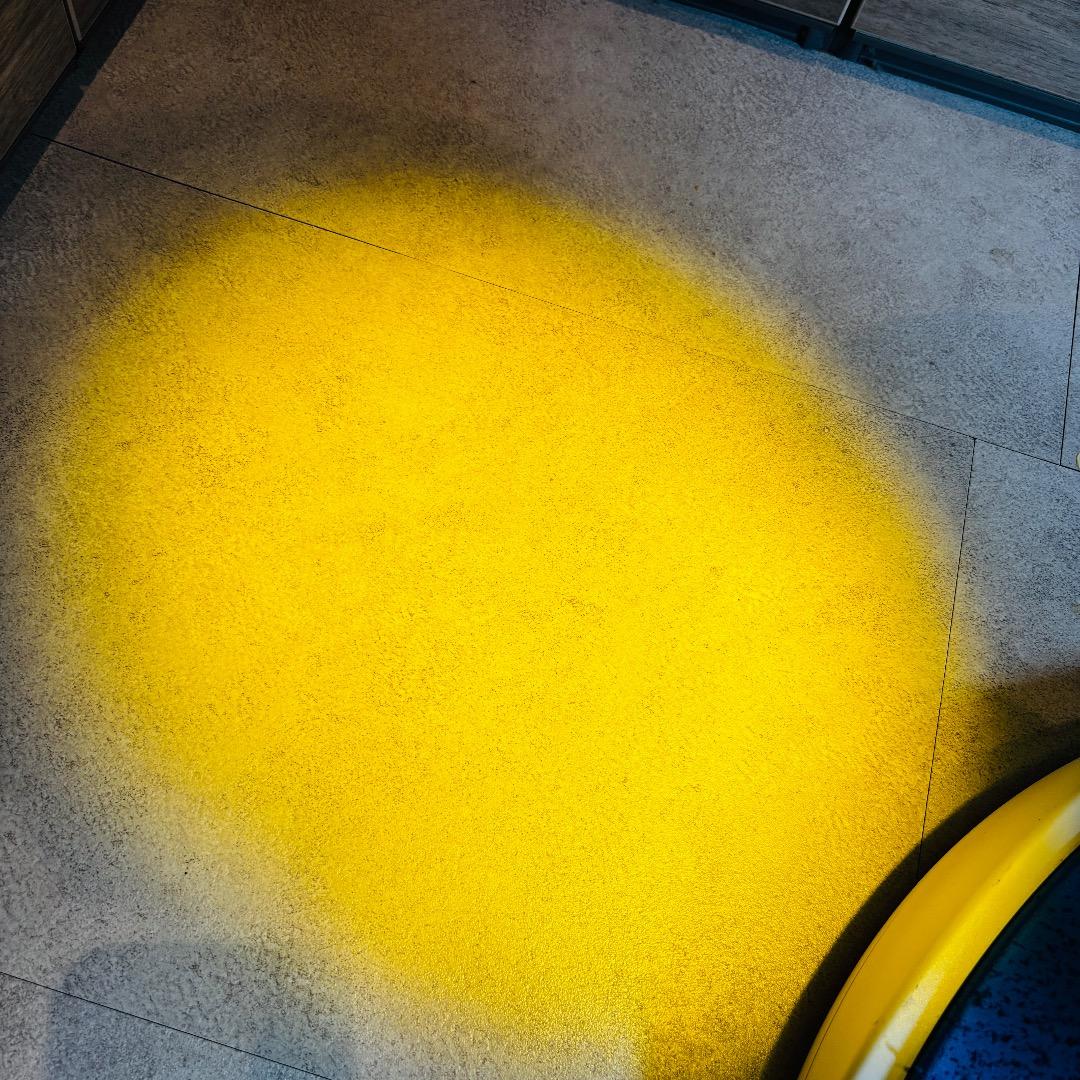 専用品　バイオプトロンプロ1 bioptron Pro1　美顔器