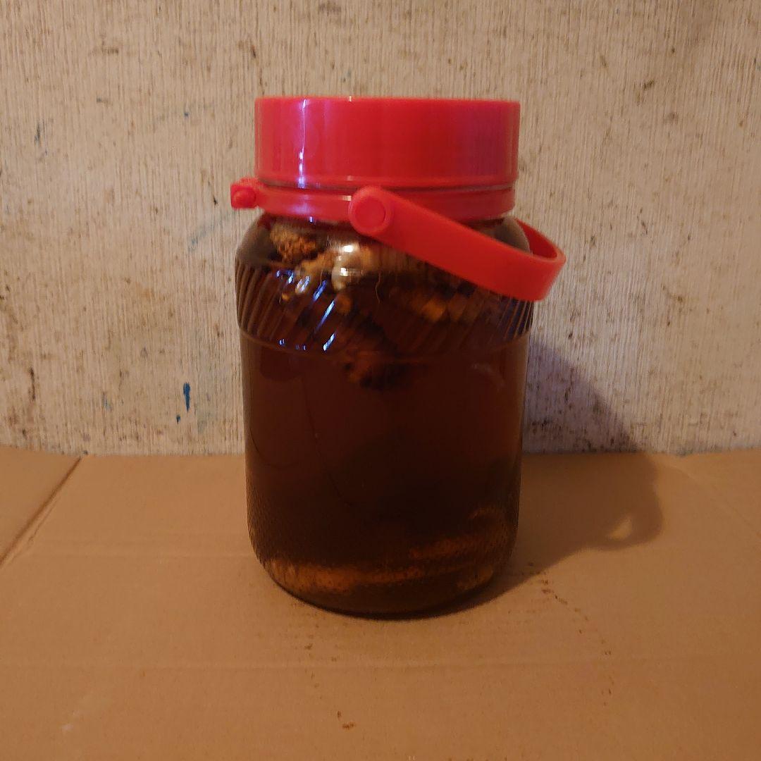 大阪府金剛山系二上山で採取りした天然物ツルニンジン酒3Ｌ入り ツルニンジン酒