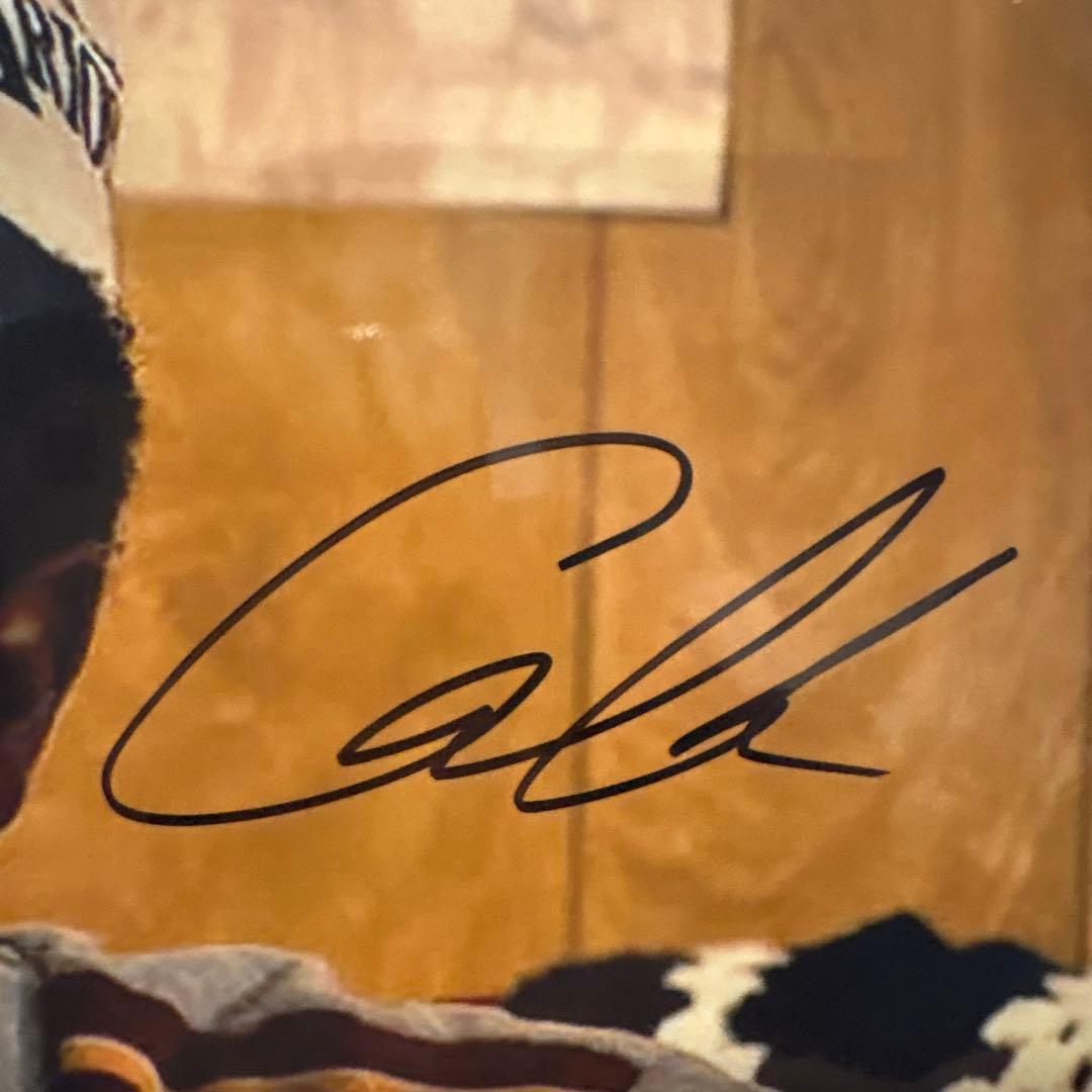 【バラ売り不可】ストレンジャー・シングス 直筆サイン入りポートレート