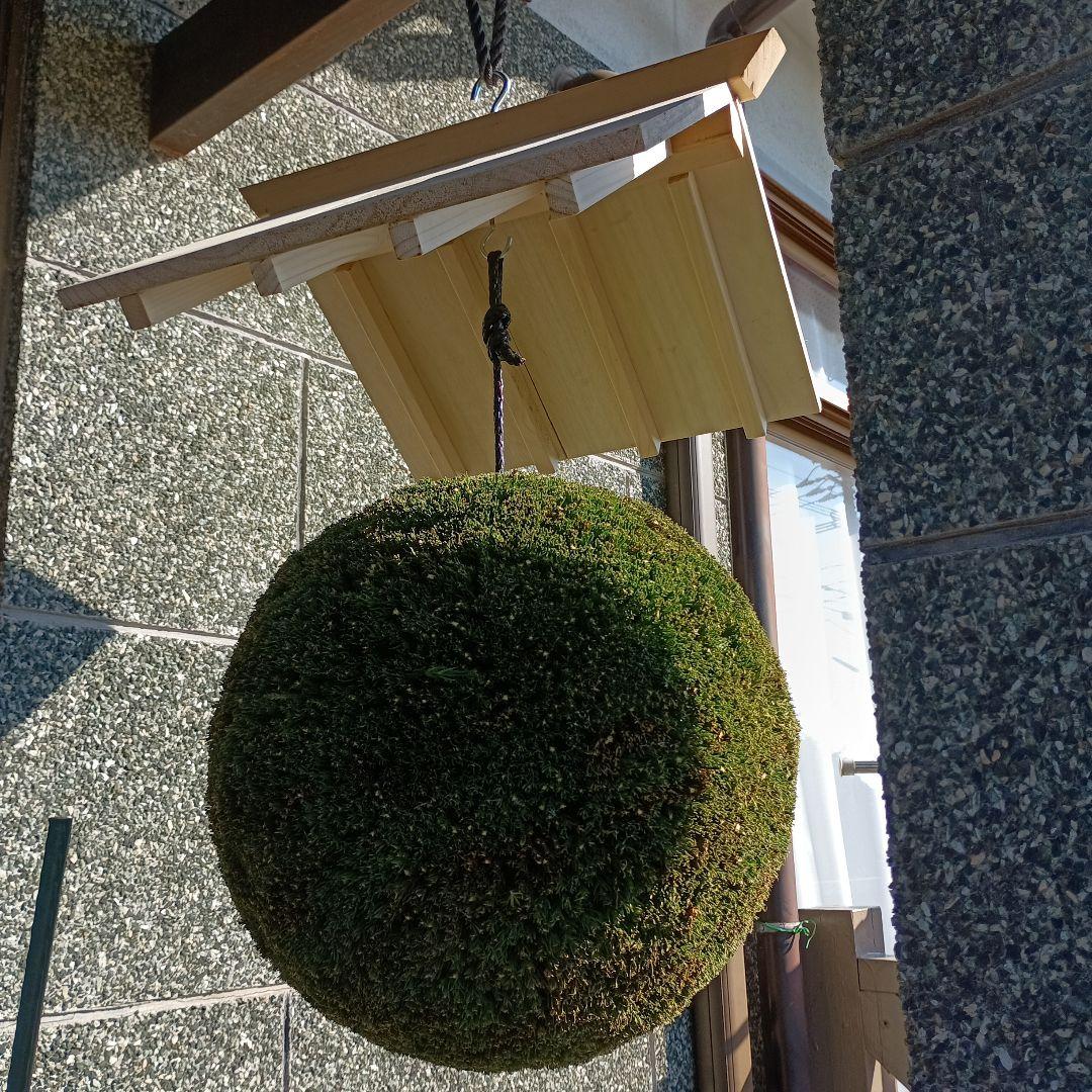 杉玉　直径37ｃｍ 屋根付き