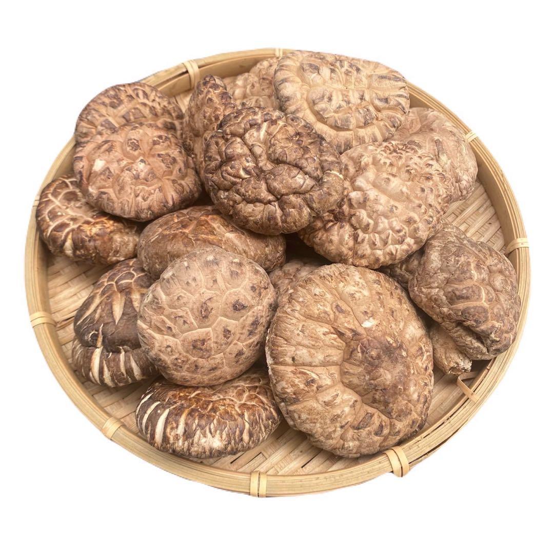 【産地直送】 乾燥椎茸　2kg 業務用　しいたけ　岩手県産　東北の味　お買い得