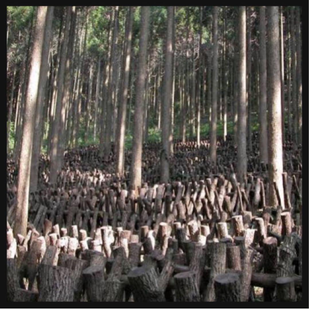 【産地直送】 乾燥椎茸　2kg 業務用　しいたけ　岩手県産　東北の味　お買い得