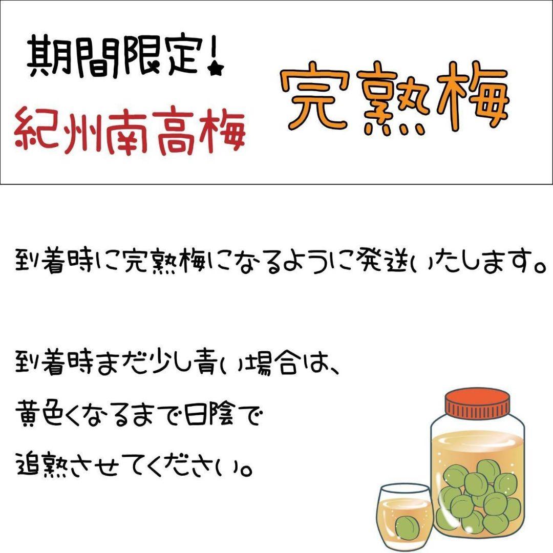 【6月限定8kg】とれたて完熟梅 紀州南高梅