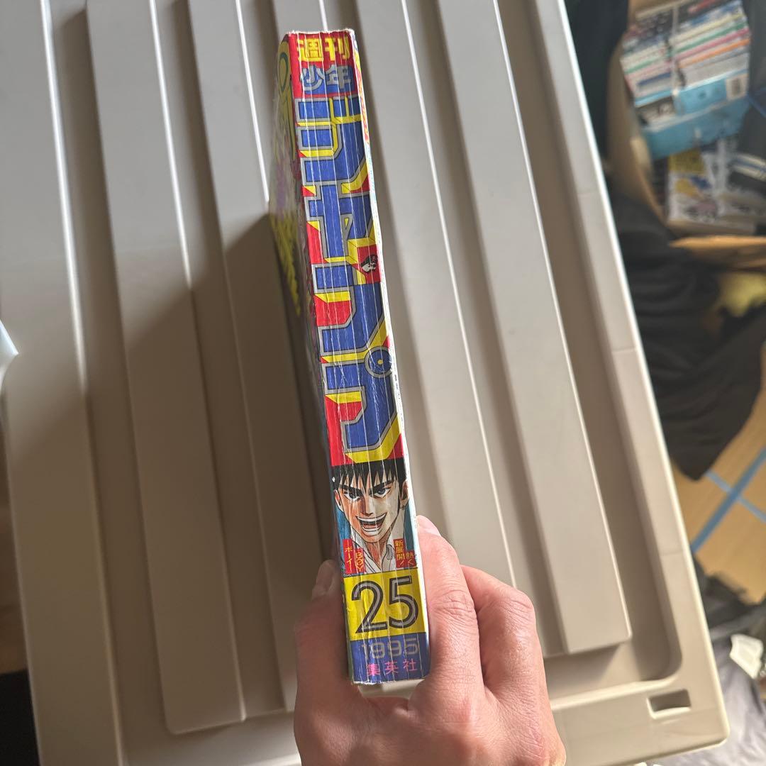 ガ*）様 少年ジャンプ1995年25号 ドラゴンボール 最終話