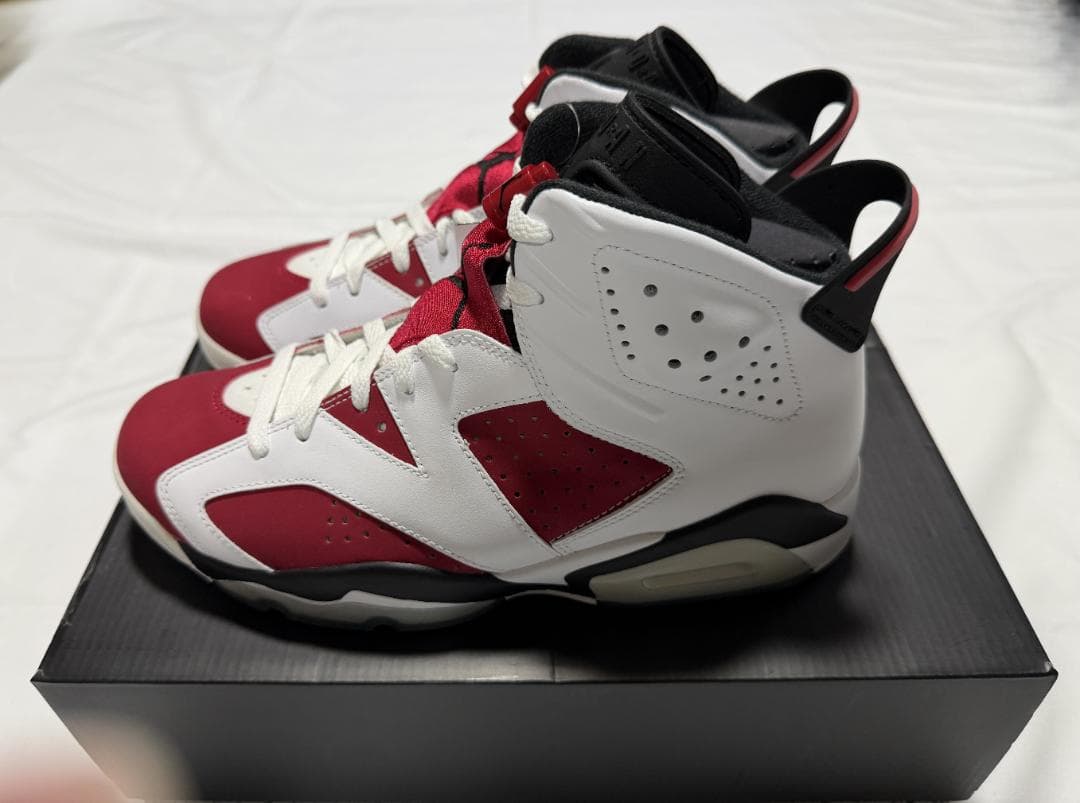 ナイキ NIKE AIR JORDAN 6 レトロ Carmine カーマイン