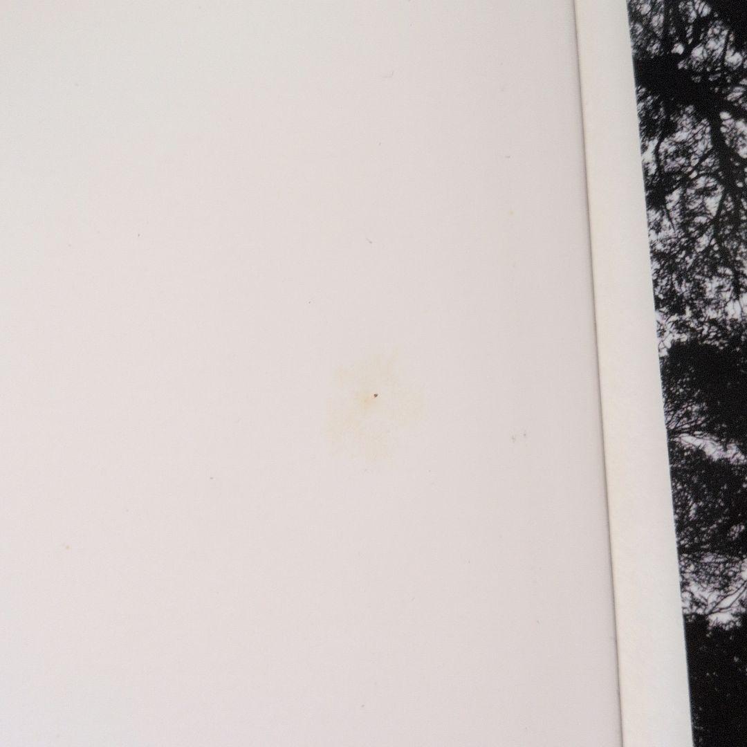 Wolfgang Tillmans 2冊