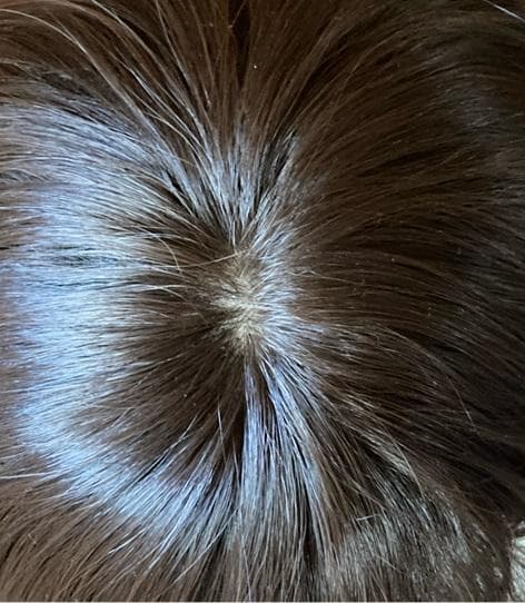 ミント　リネアストリア「天使のカジュアルショート」ダークブラウンM