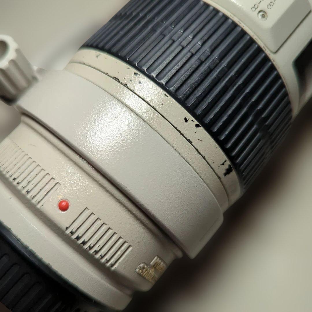 ♪　Canon EF 70-200mm f/2.8L IS USM