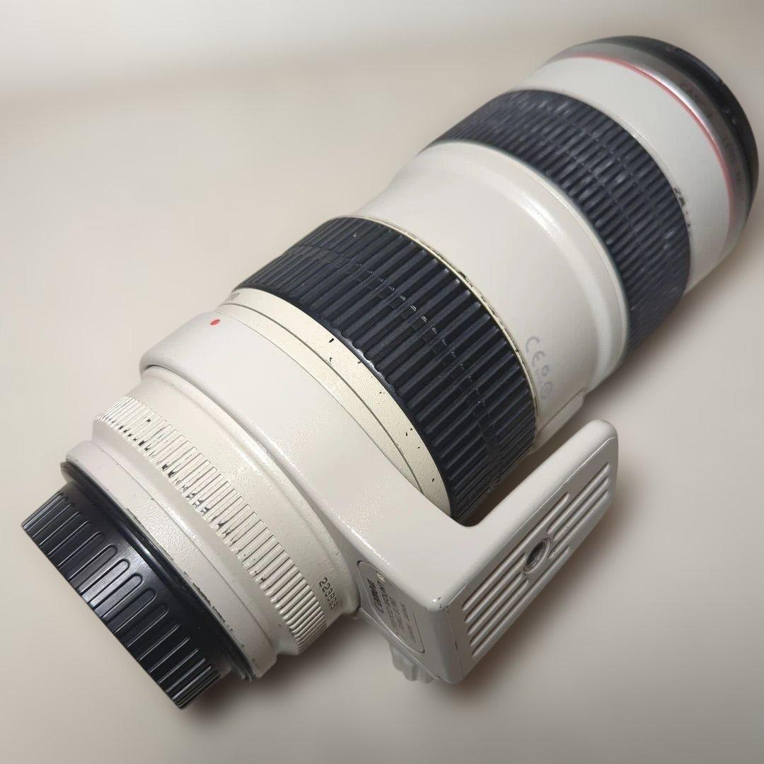 ♪　Canon EF 70-200mm f/2.8L IS USM