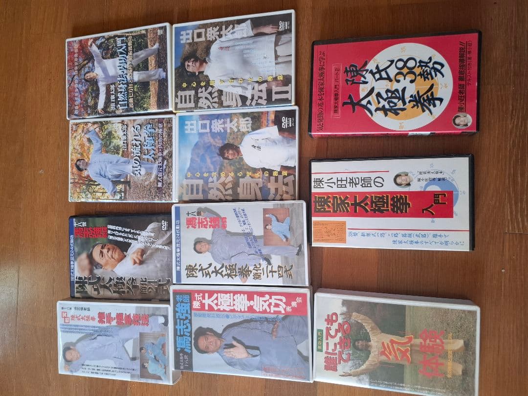 混元太極拳 陳氏太極拳 馮志強 出口衆太郎 VHS•DVDセット [動作確認済]