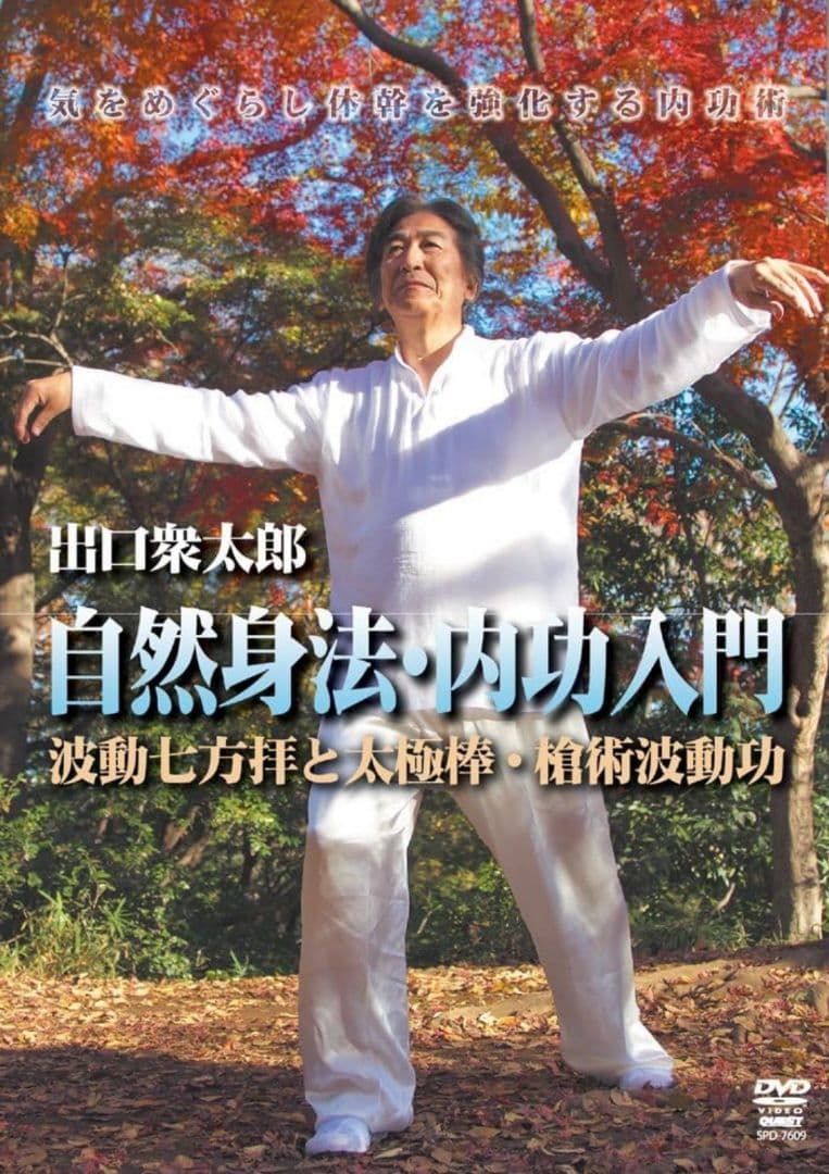 混元太極拳 陳氏太極拳 馮志強 出口衆太郎 VHS•DVDセット [動作確認済]