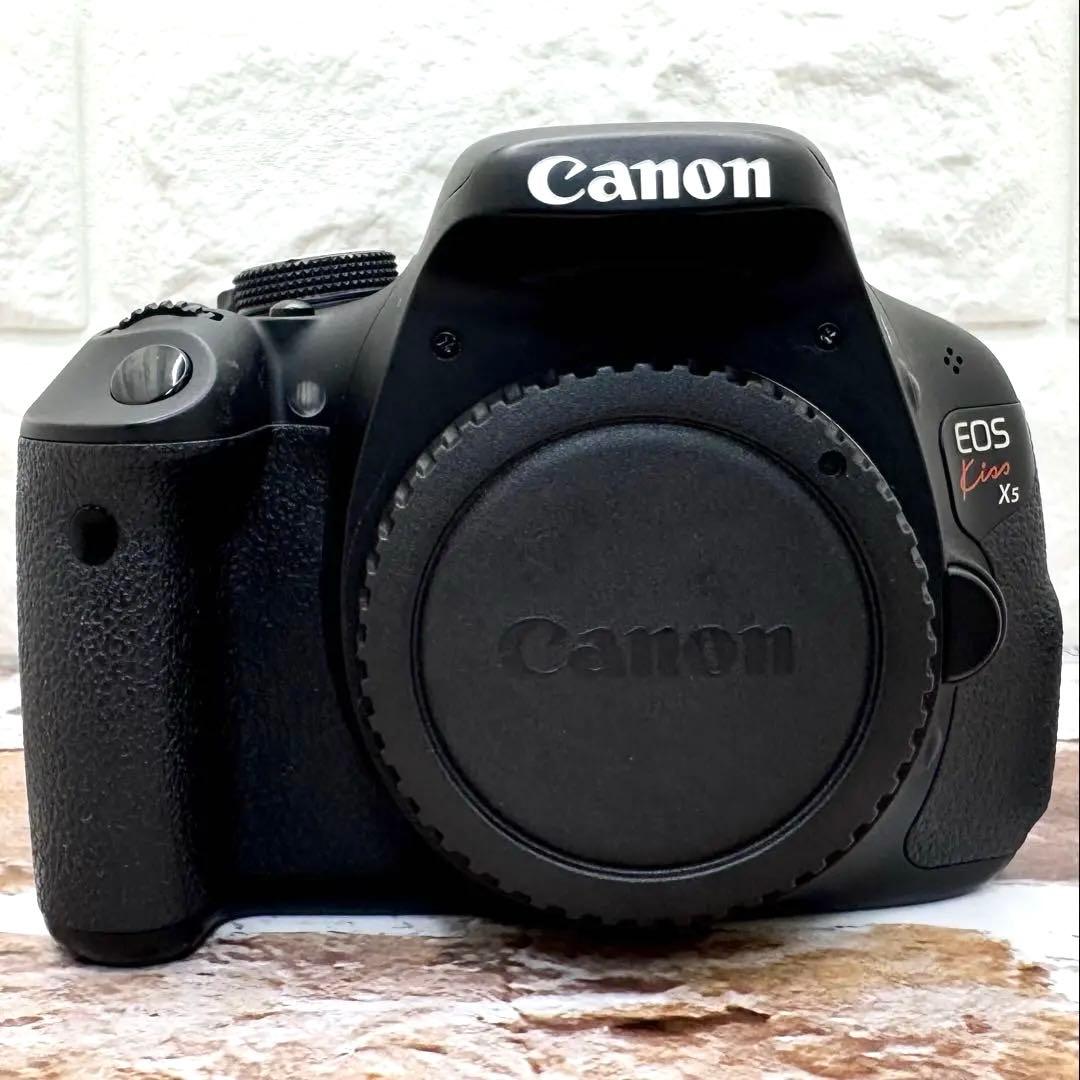 田中様希少シルバー色レンズCanon EOS KISS X5 レンズセットスマホ