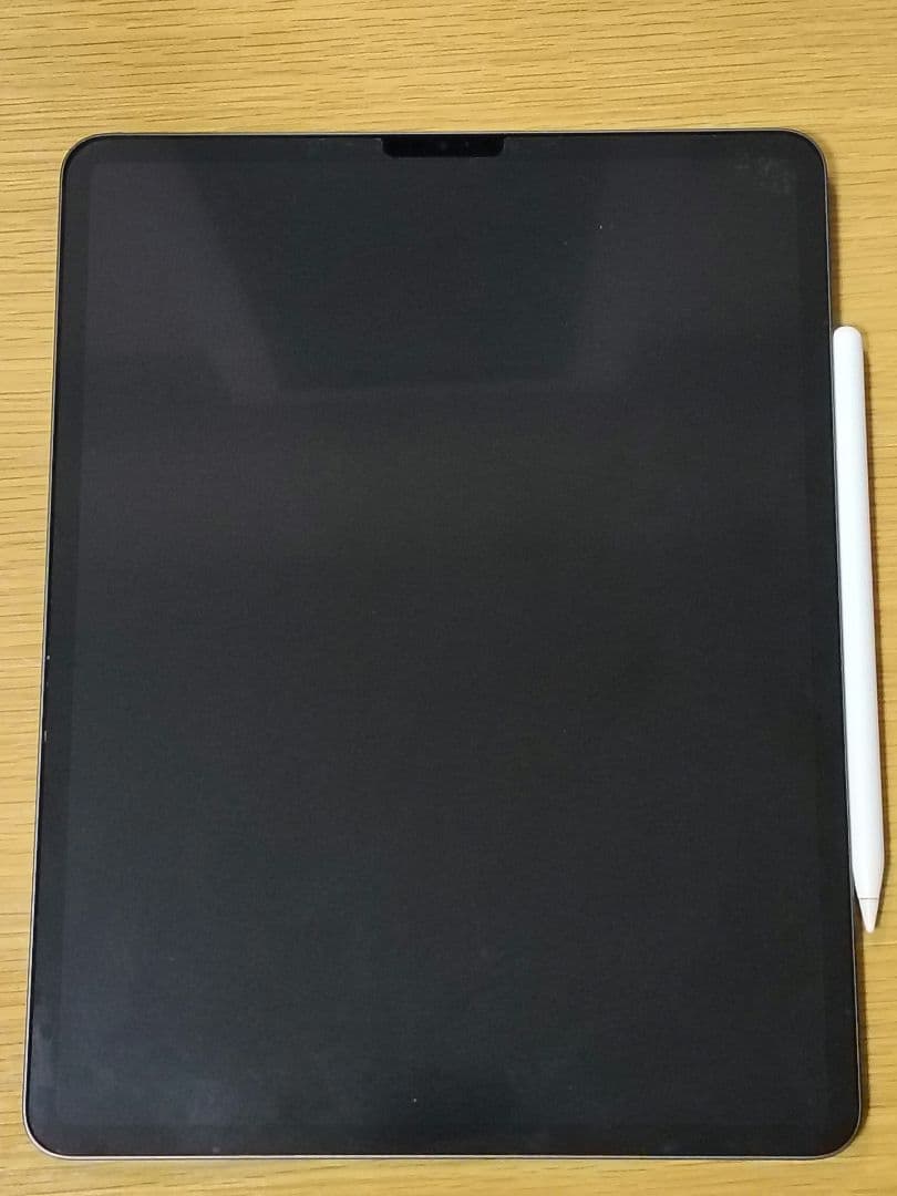 iPad Pro 12.9 第5世代 128GB グレー 箱無し 中古品