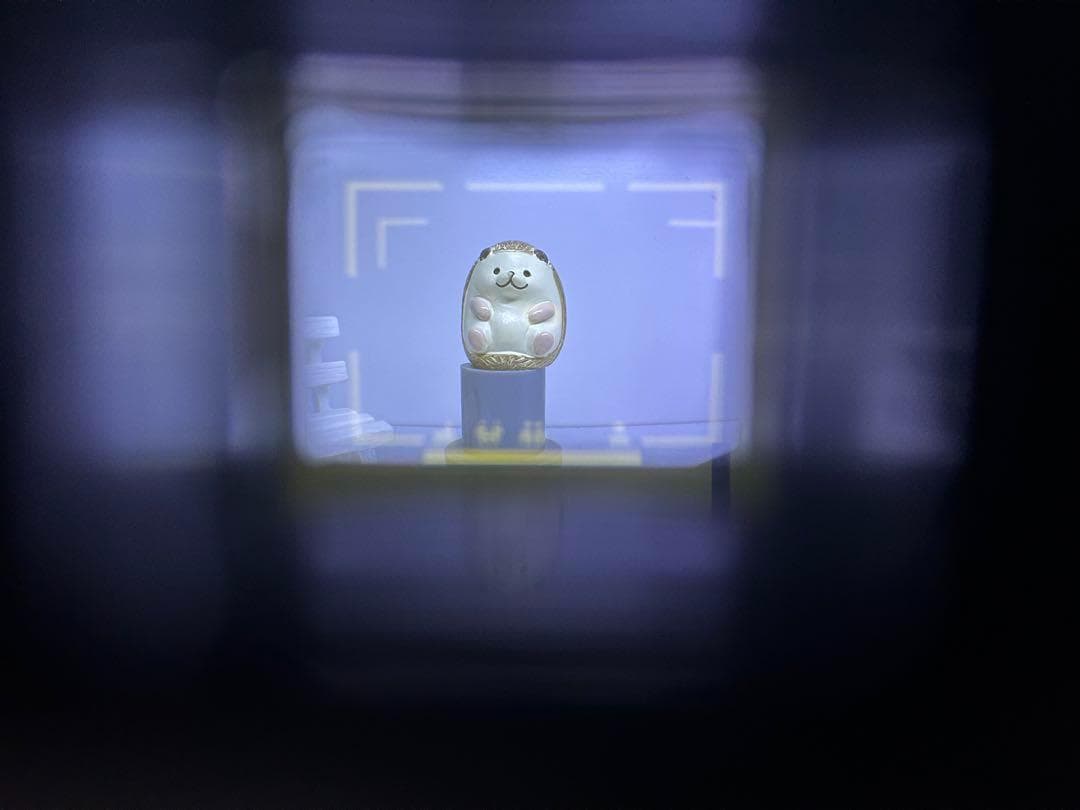 動作品 Nikon L35AD2 コンパクトフィルムカメラ