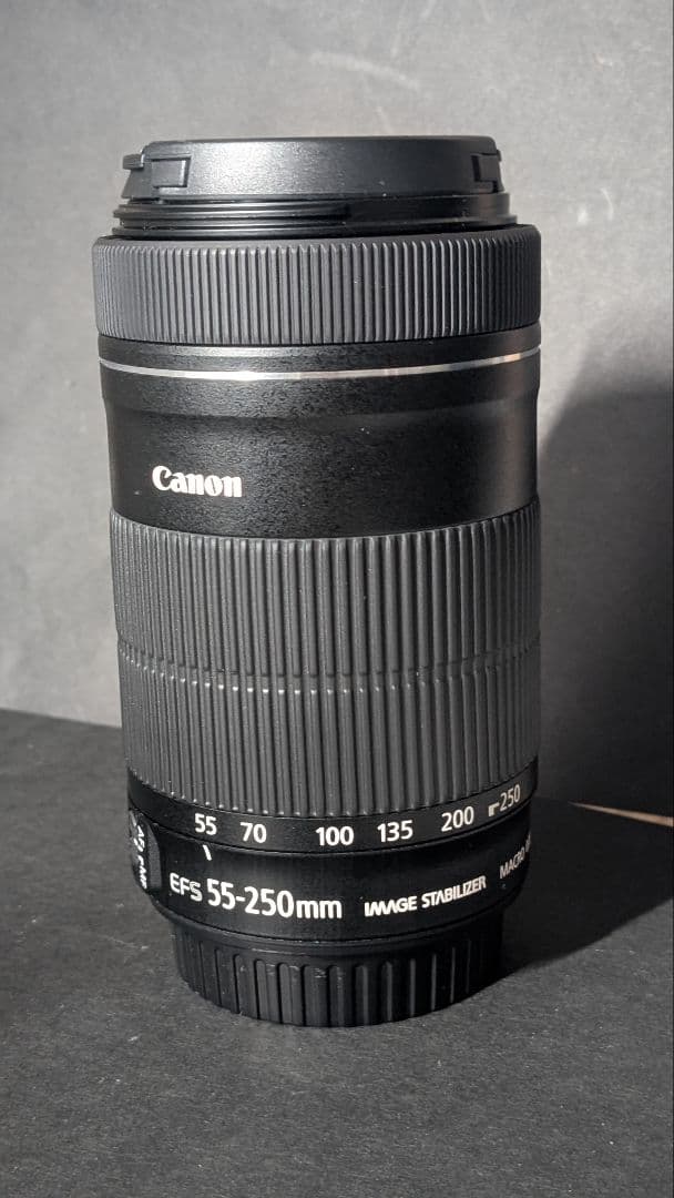 【箱付き】CANON EF-S55-250mm F4-5.6 IS STM