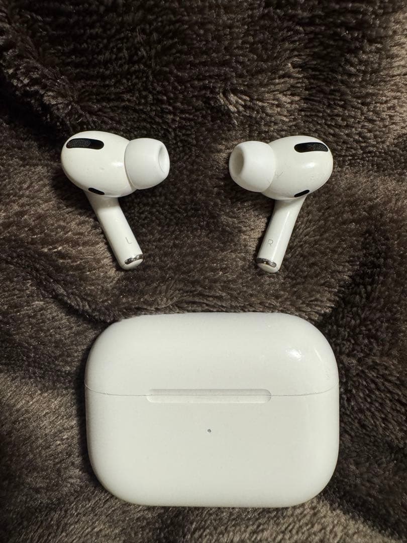 Apple AirPods Pro 第一世代　【中古品•消毒拭き取り済み】