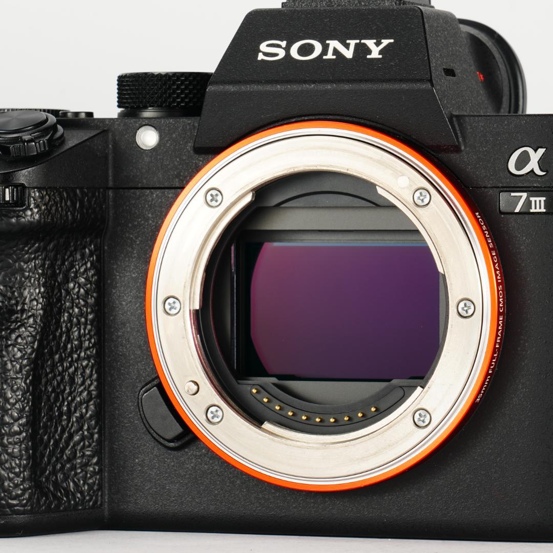 【すぐ撮影】SONY α7III コスパ最高ミラーレス ILCE-7M3K