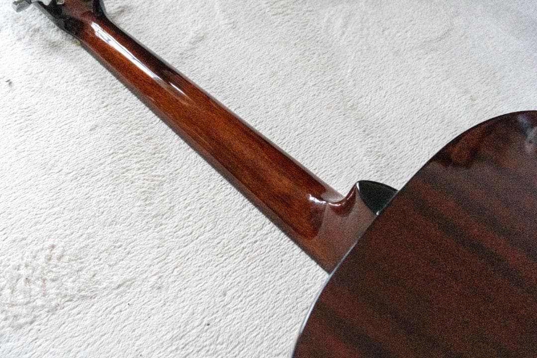 Recording King RO-G6 【美品】OOOタイプ 新品ギグバッグ