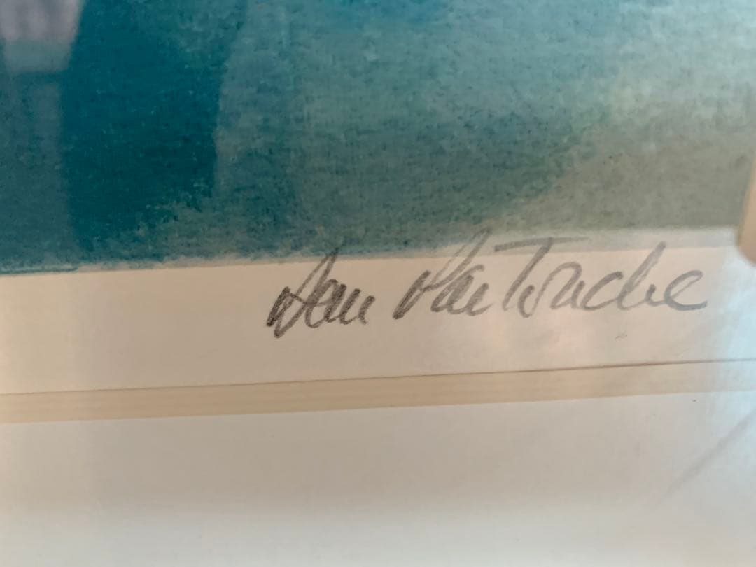 に*の様 希少　大判リトグラフ　ダン・パルトゥシュ　「シクラメン」