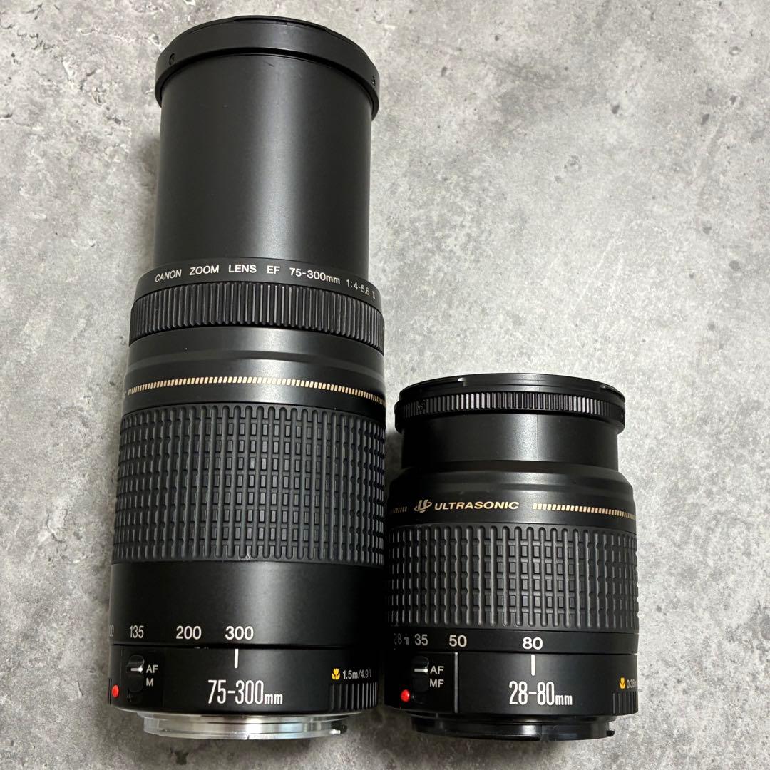 ⭐️美品⭐️キャノン Canon EF75-300, 28-80mm ダブルレンズ