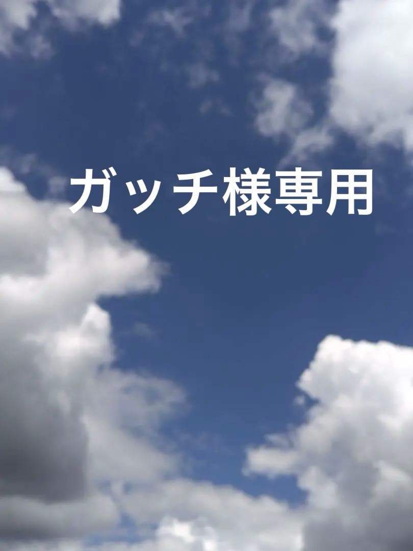 のり佃煮 3瓶 長崎カステラ切り落とし40個 ガッチ