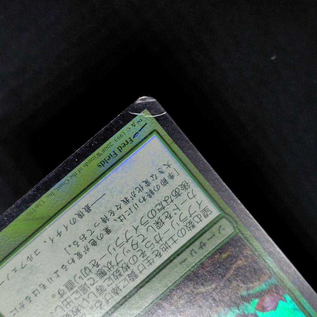 モーニングタイド 風景の変容/Scapeshift 日本語版Foil 状態HP