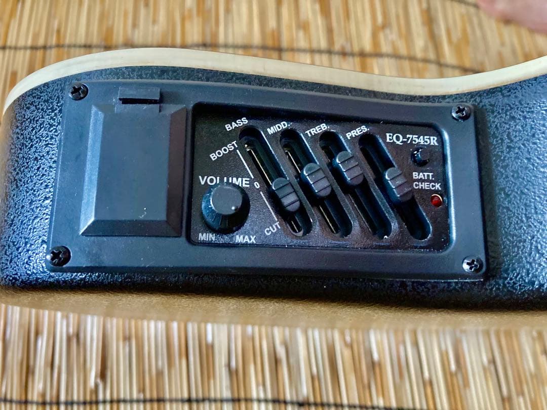 猫*様 ☆新年値下　アクティブコントローラを追加　エレアコ　Legend by