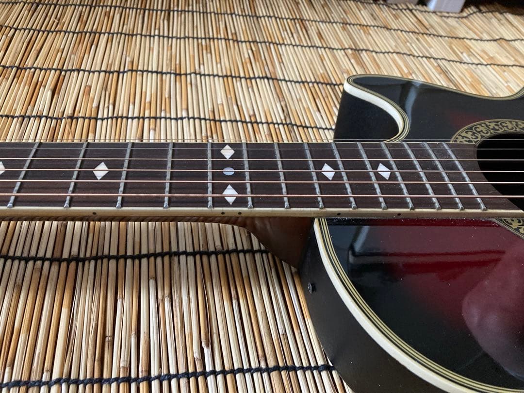 猫*様 ☆新年値下　アクティブコントローラを追加　エレアコ　Legend by