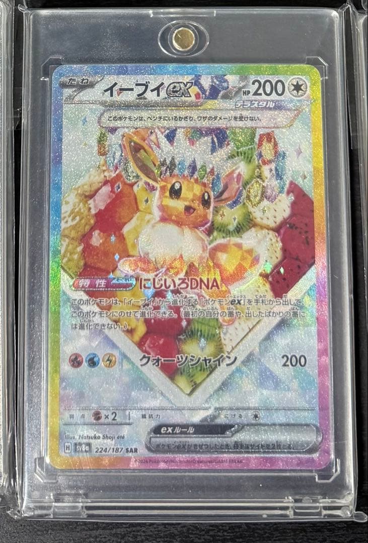 本日24時まで限定【センタリング◎／美品】ブイズSARコンプリート　おまけ付