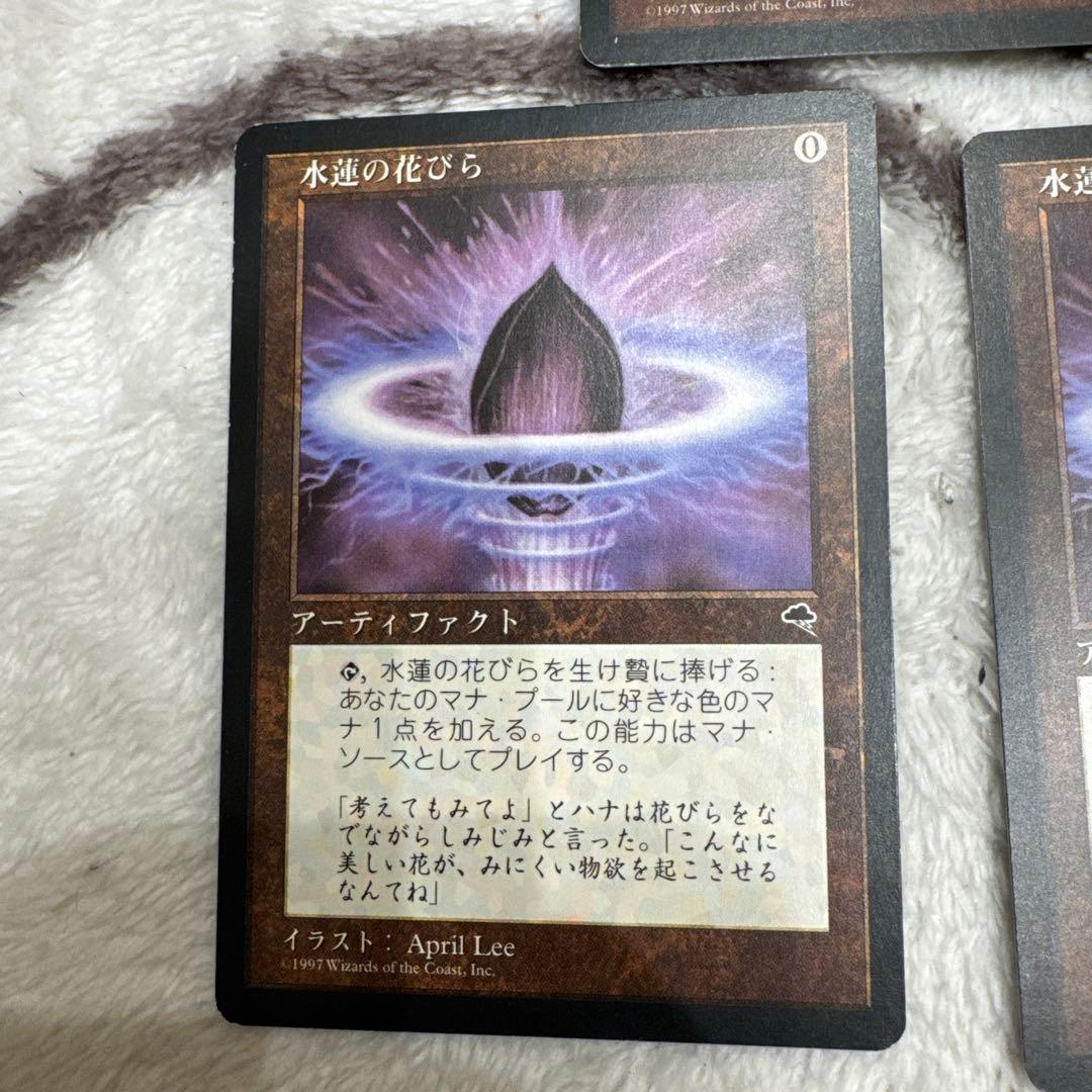 水蓮の花びら/Lotus Petal 日本語　 3枚セット