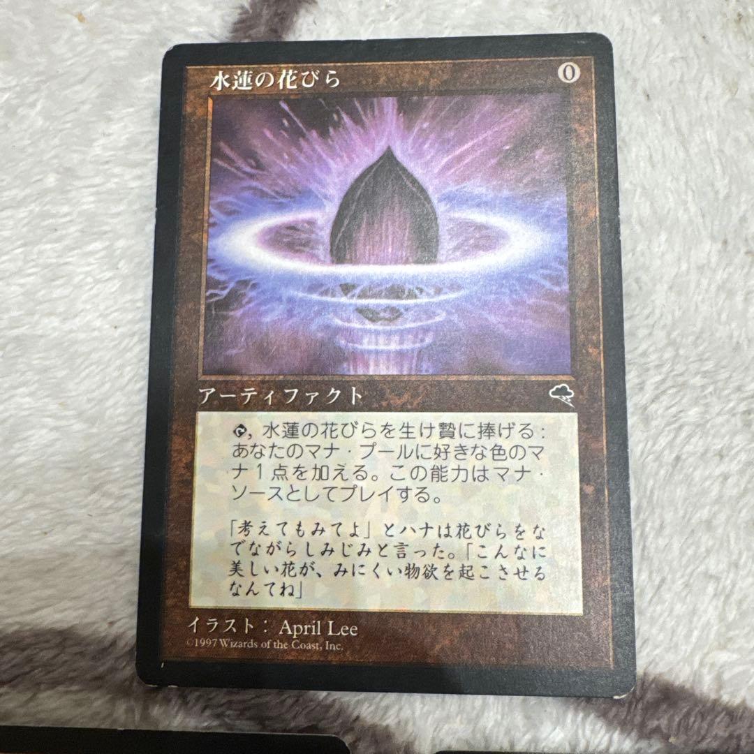 水蓮の花びら/Lotus Petal 日本語　 3枚セット