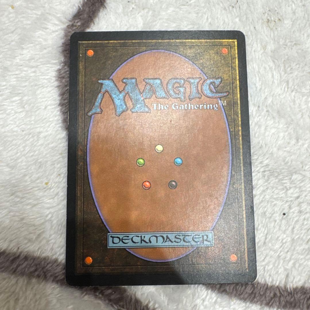 水蓮の花びら/Lotus Petal 日本語　 3枚セット