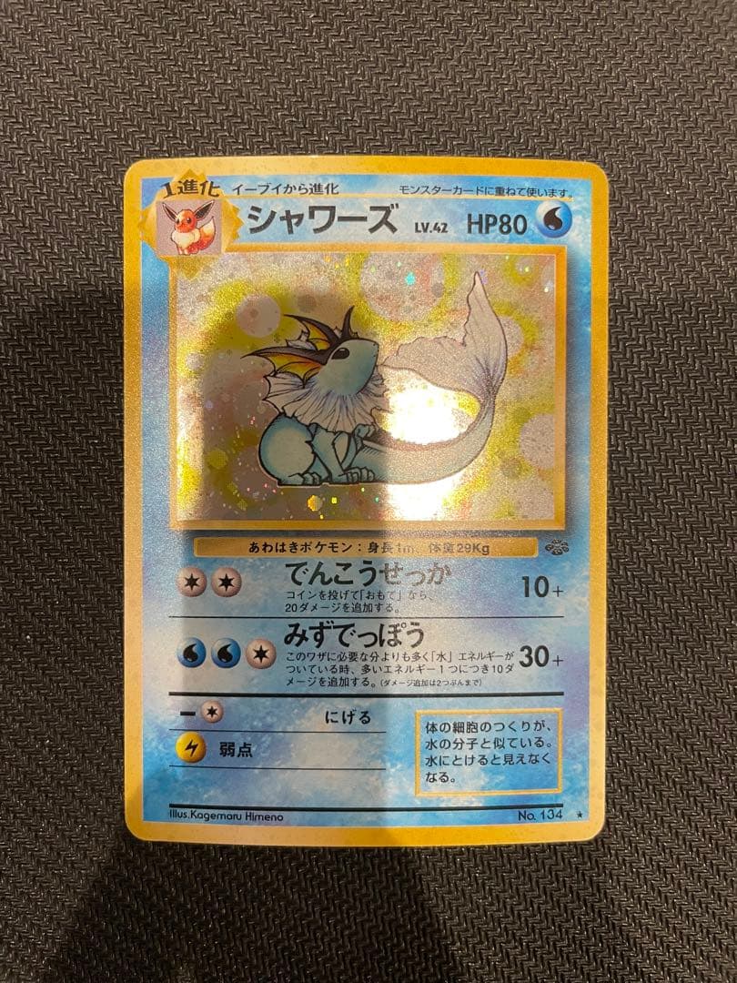 旧裏 ブラッキー エーフィ ブースター サンダース シャワーズ5枚セット ブイズ