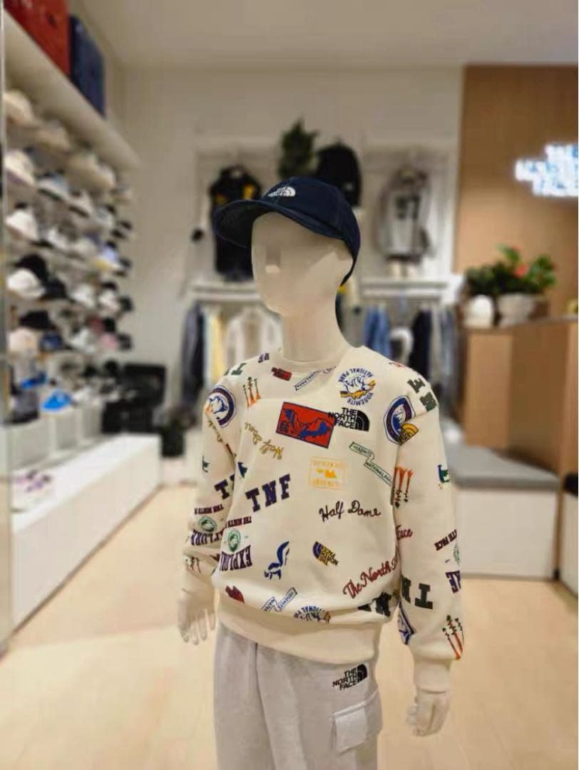 新品タグ付　ザノースフェイス　プリントワッペン　トレーナー　スウェット　120