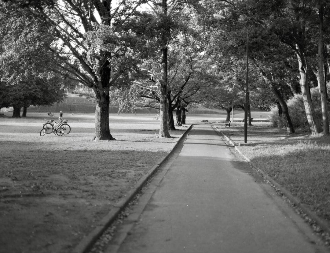 ＜作例あり＞MAMIYA M645 + MAMIYA-SEKOR C 　試写済