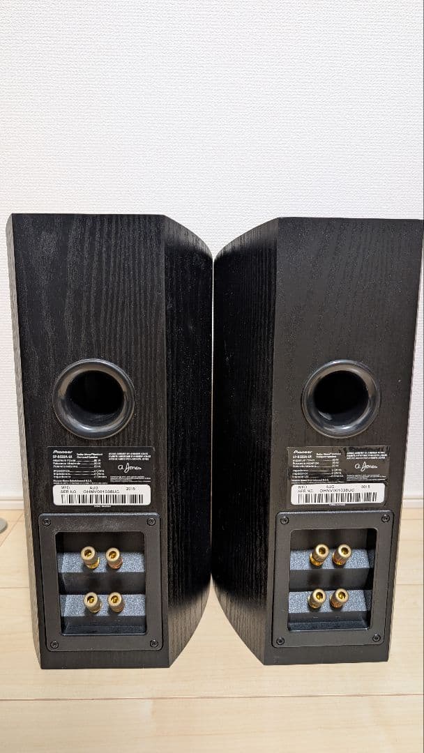 【イネーブルド一体型】Pioneer SP-BS22A-LR 【日本未発売？】