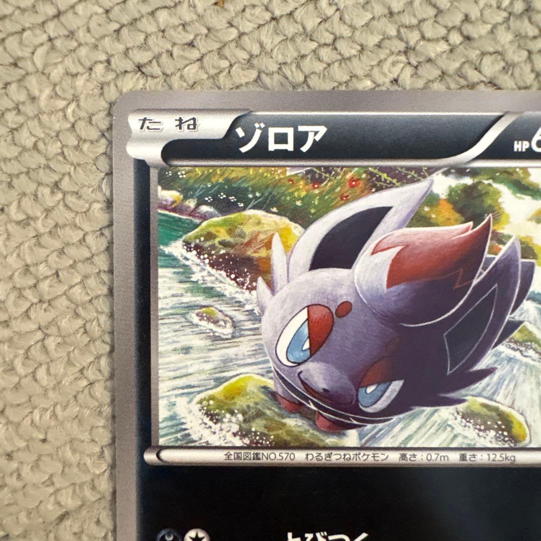 P*他様 ポケモンカード ゾロア HP60