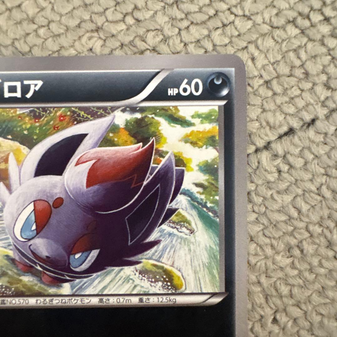 P*他様 ポケモンカード ゾロア HP60