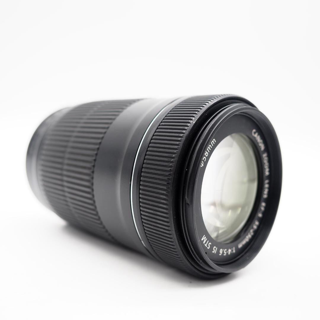 Canon EF-S 55-250mm F4-5.6 IS STM　①
