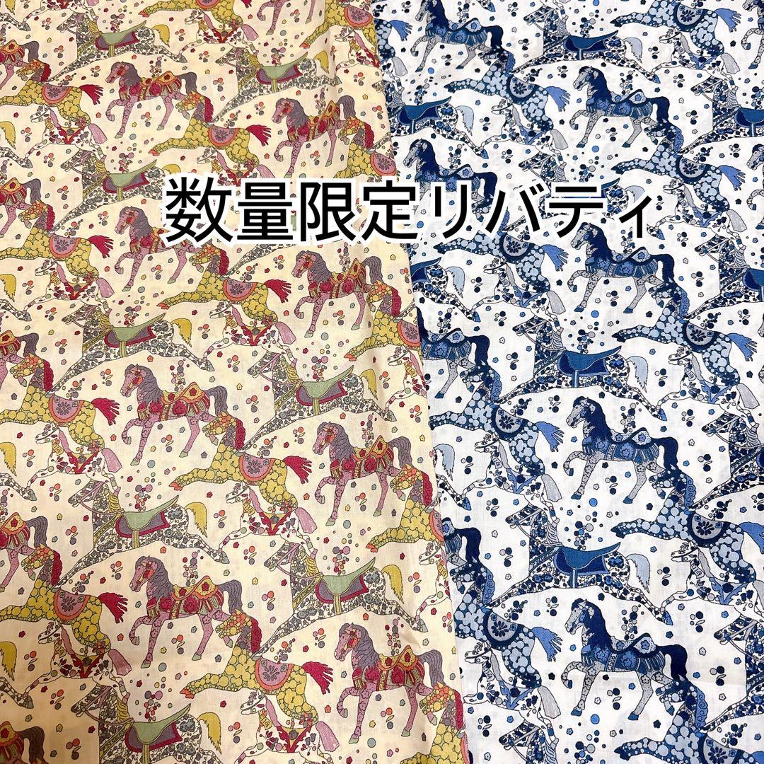 チヨコページプティアルソンサイズバッグインバッグ