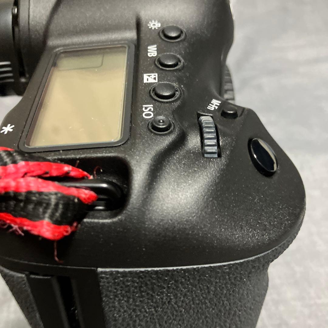 Canon EOS 1DXと充電器