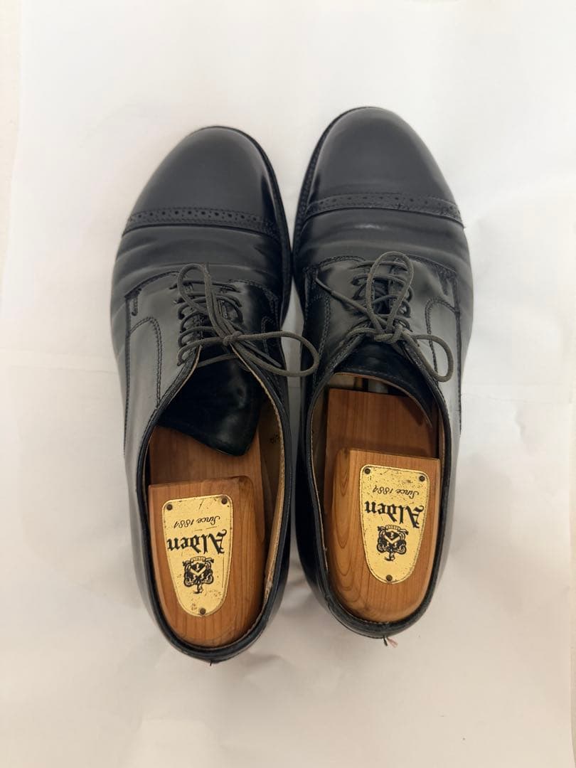 H*o様 Alden 56251 サイズ8 1/2 D