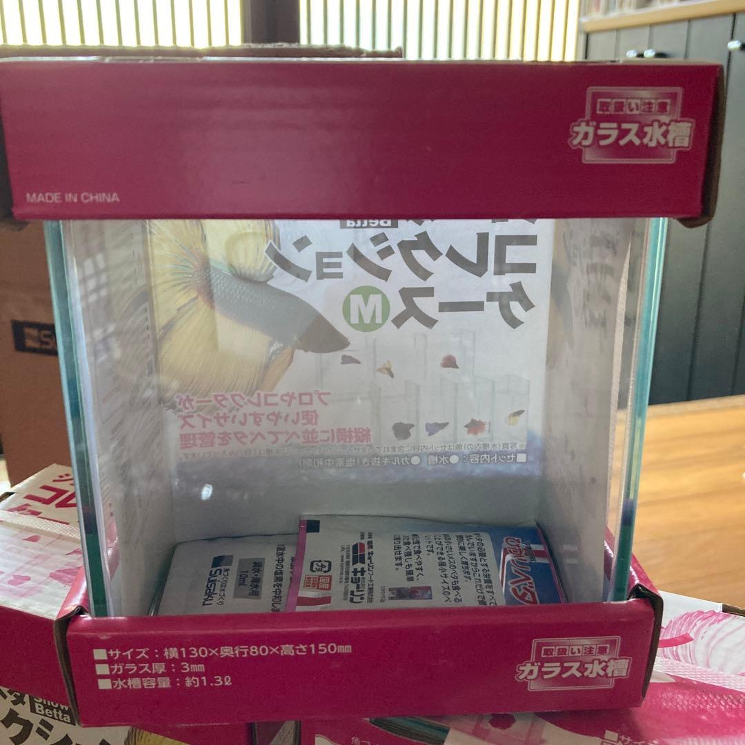 Suisaku ショーベタ コレクションケース M 12個