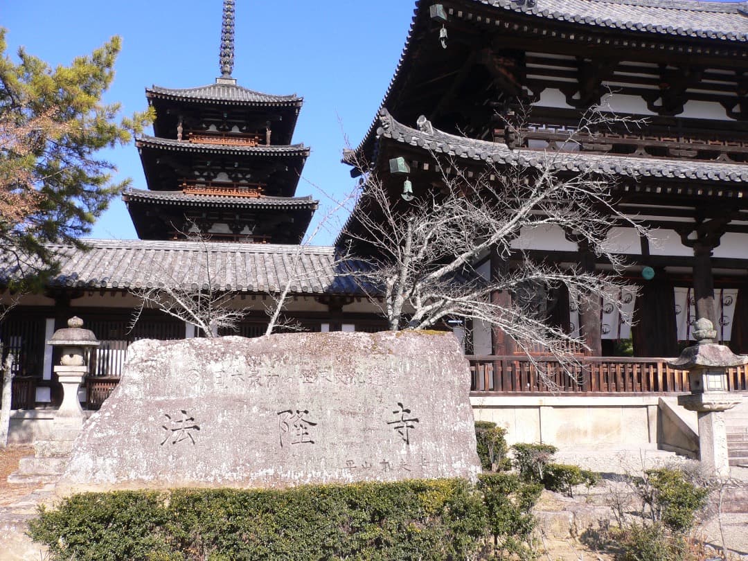 実写美⭕️美品【動作確認済】パナソニック LUMIX DMC-FX7 シルバー