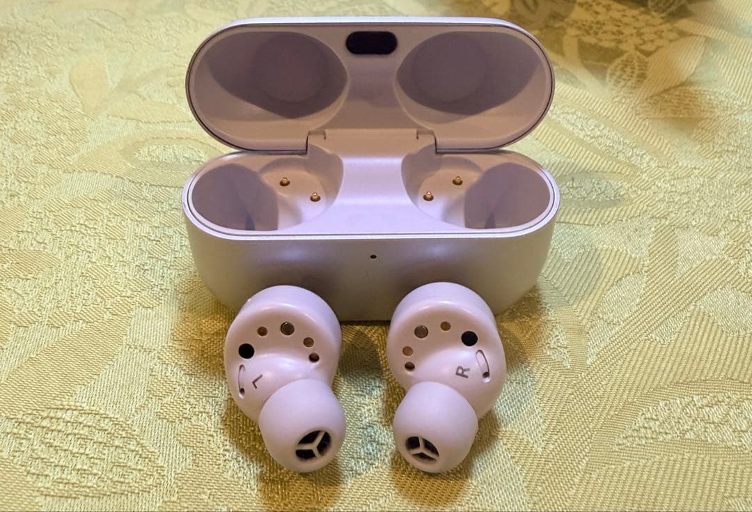 テクニクス AEH-AZ100 シルバー (ケース傷あり)