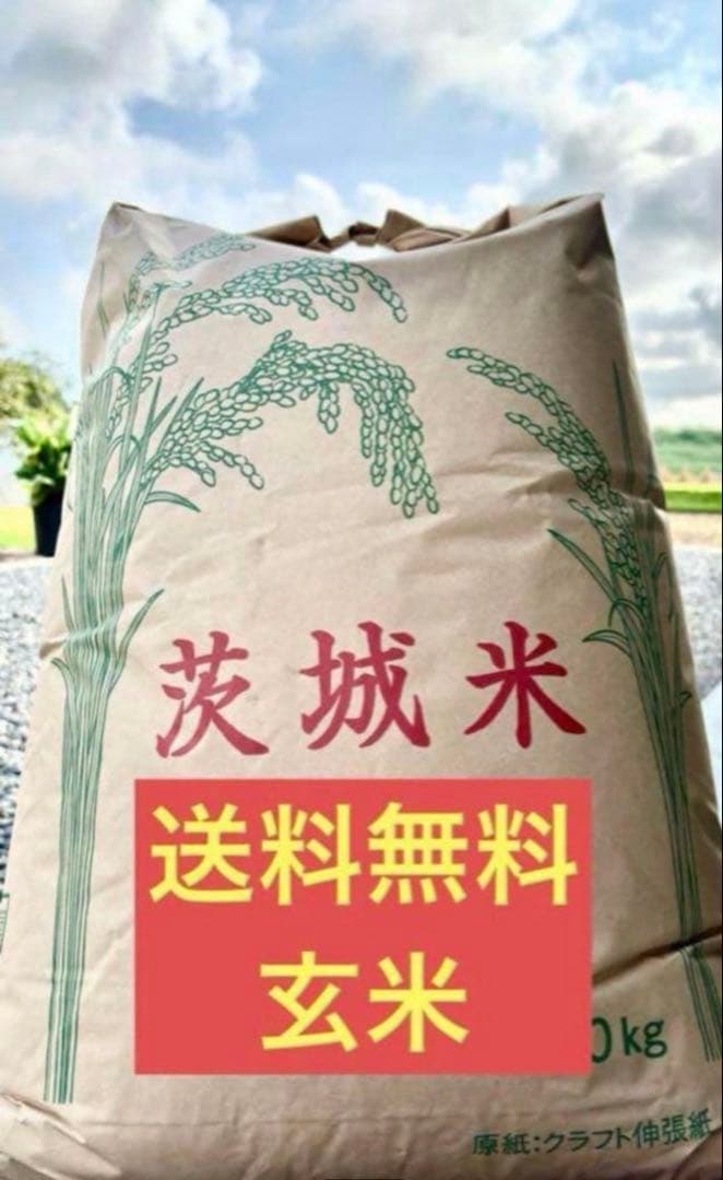 送料無料！新米 玄米 コシヒカリ30kg