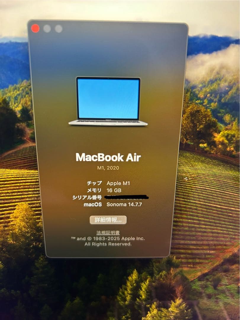 MacBook本体 MacBook Air M1 2020 16GB