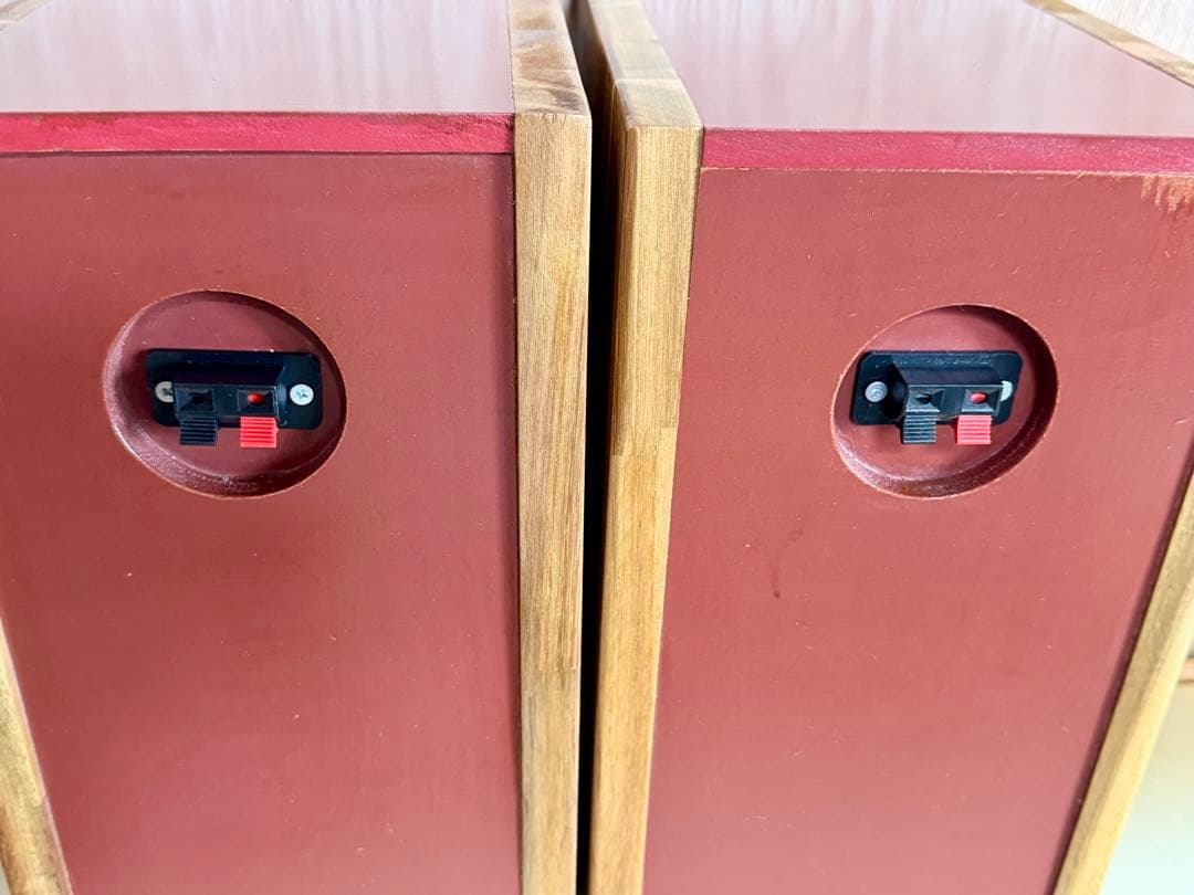 NFJ社P1000K互換10cmフルレンジ使用 バックロードホーンSP（ペア）