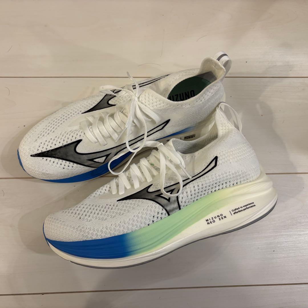 ミズノネオゼン ユニセックス 26.0cm