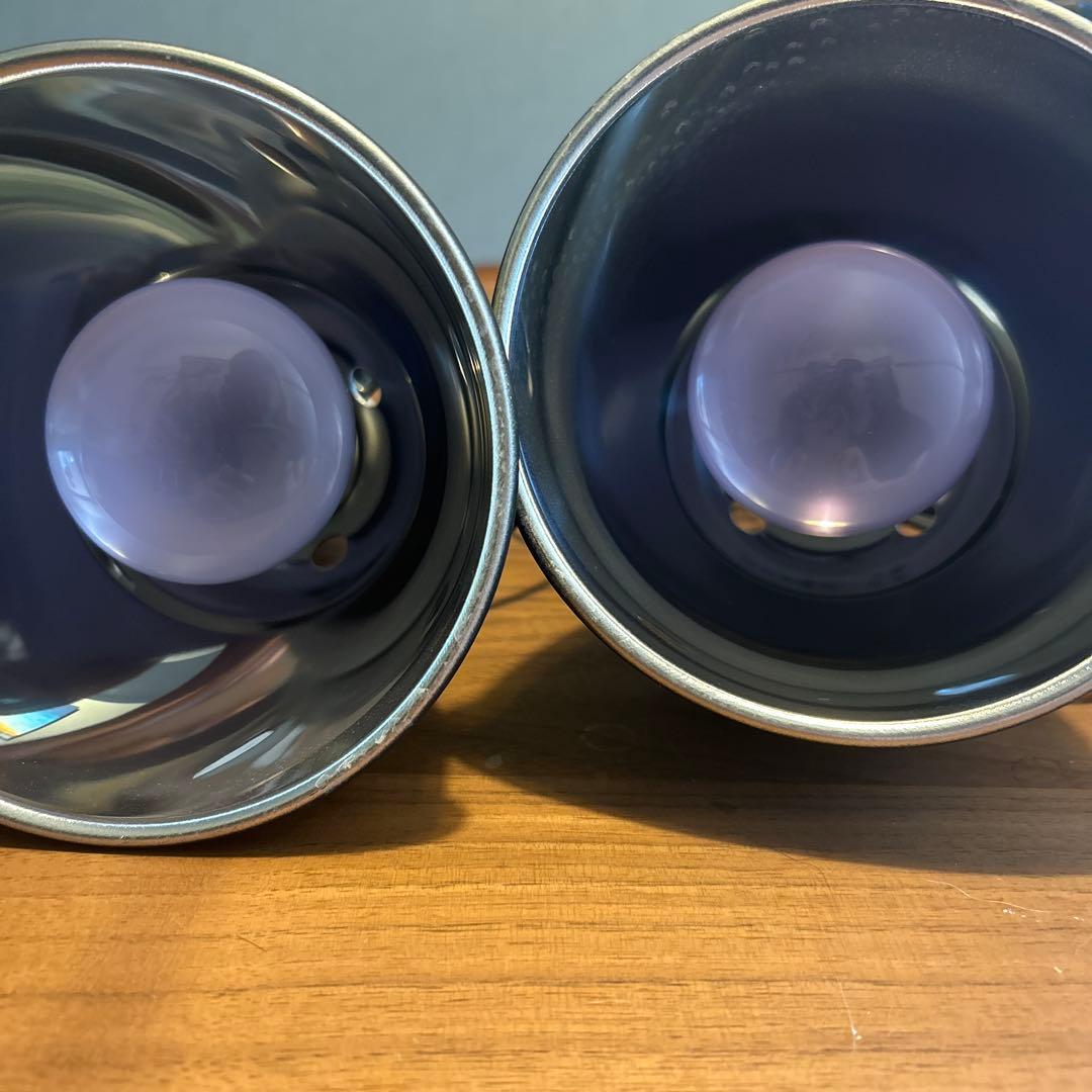 ライトドーム14cm、バスキングスポットランプ50wレプティサンT5 HO